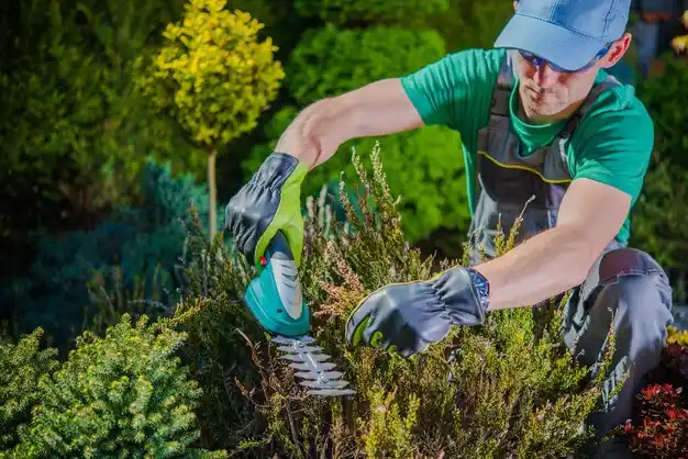 landscaping services Pettisville